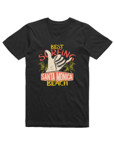 Best surfing Santa Monica Beach