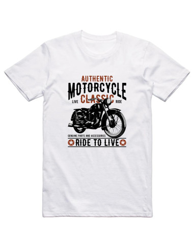 Authentic motorcycle